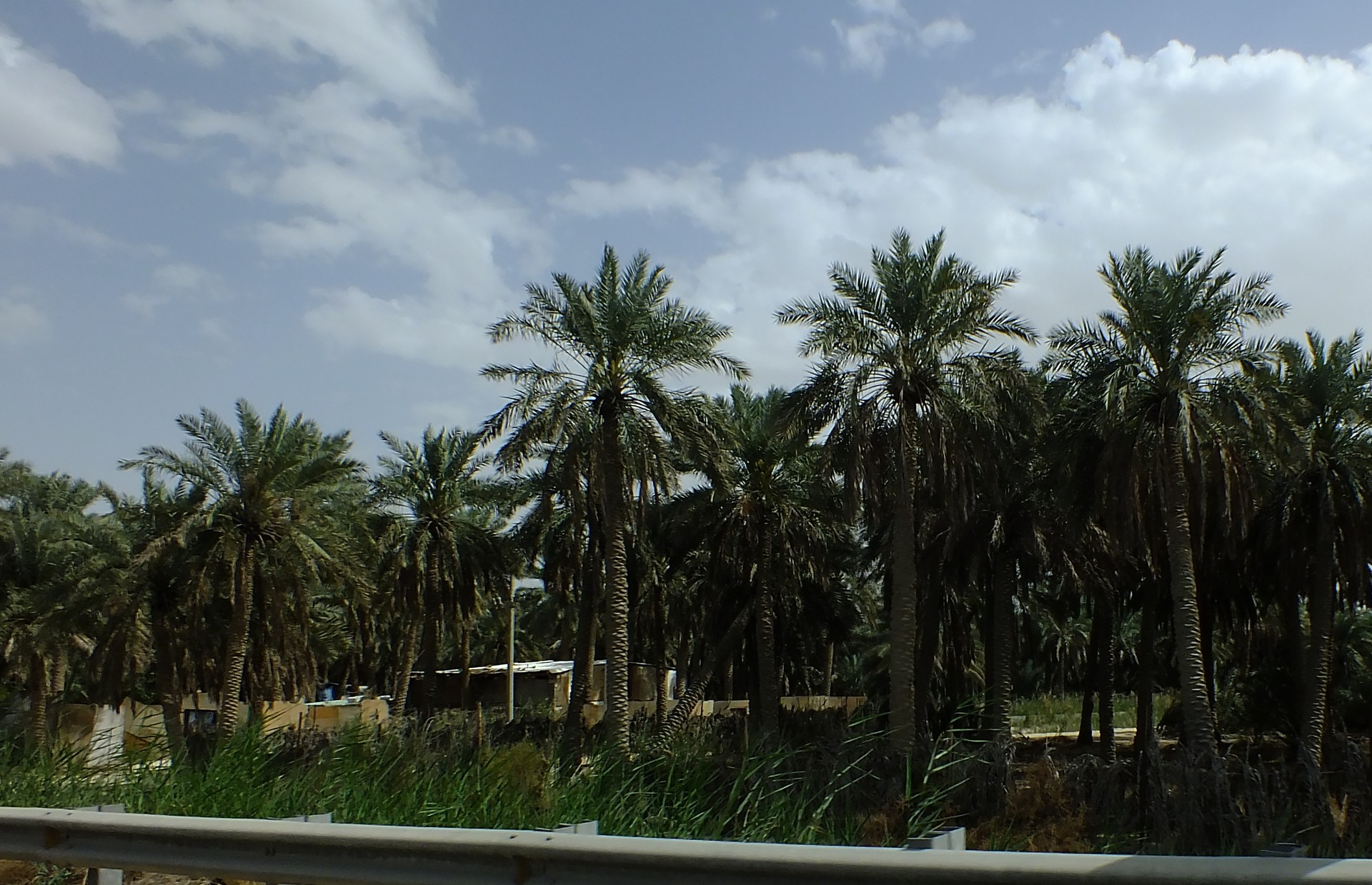 Al-Ahsa skyline